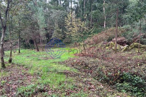 Tomt i Valenca, Viana do Castelo, Valenca - € 25 000 | Ref: 194331 - foto 4