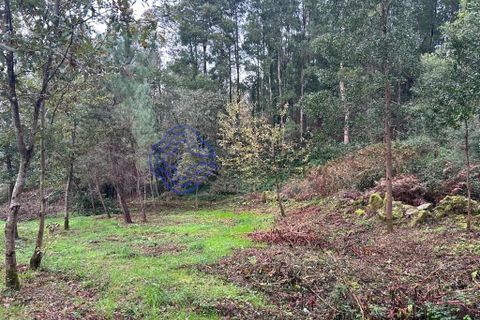 Tomt i Valenca, Viana do Castelo, Valenca - € 25 000 | Ref: 194331 - foto 5