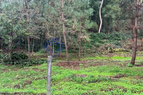 Tomt i Valenca, Viana do Castelo, Valenca - € 25 000 | Ref: 194331 - foto 6