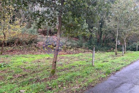 Tomt i Valenca, Viana do Castelo, Valenca - € 25 000 | Ref: 194331 - foto 8