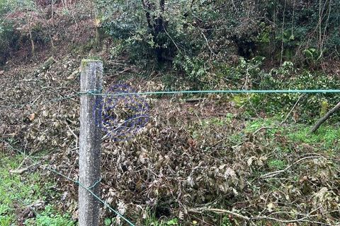 Tomt i Valenca, Viana do Castelo, Valenca - € 25 000 | Ref: 194331 - foto 9