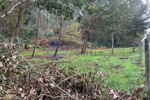 Tomt i Valenca, Viana do Castelo, Valenca - € 25 000 | Ref: 194331 - foto 13