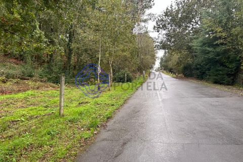 Tomt i Valenca, Viana do Castelo, Valenca - € 25 000 | Ref: 194331 - foto 14