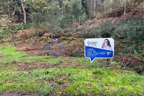 Tomt i Valenca, Viana do Castelo, Valenca - € 25 000 | Ref: 194331 - foto 15