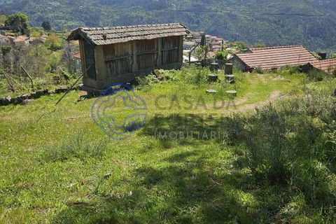 Helårsgrund i Cinfaes, Viseu, Cinfaes - € 67.500 | Ref: 1104081 - foto 1
