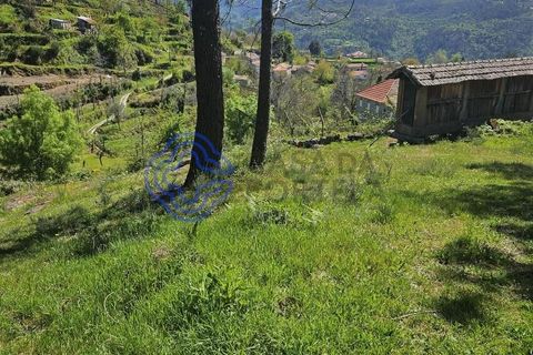 Helårsgrund i Cinfaes, Viseu, Cinfaes - € 67.500 | Ref: 1104081 - foto 3