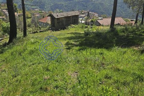 Helårsgrund i Cinfaes, Viseu, Cinfaes - € 67.500 | Ref: 1104081 - foto 4