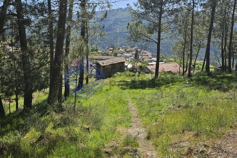 Helårsgrund i Cinfaes, Viseu, Cinfaes - € 67.500 | Ref: 1104081 - foto 5