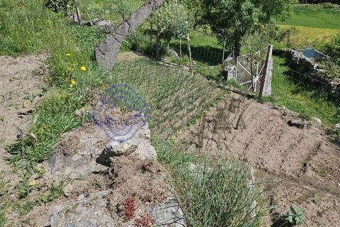 Helårsgrund i Cinfaes, Viseu, Cinfaes - € 67.500 | Ref: 1104081 - foto 6