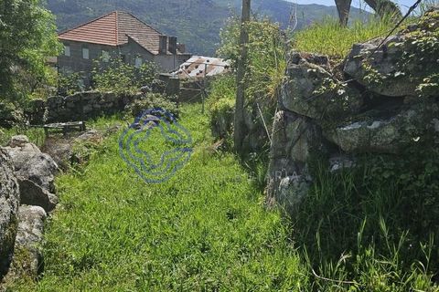 Helårsgrund i Cinfaes, Viseu, Cinfaes - € 67.500 | Ref: 1104081 - foto 7