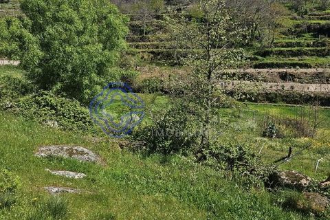Helårsgrund i Cinfaes, Viseu, Cinfaes - € 67.500 | Ref: 1104081 - foto 8