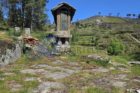 Helårsgrund i Cinfaes, Viseu, Cinfaes - € 67.500 | Ref: 1104081 - foto 9