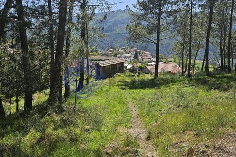 Helårsgrund i Cinfaes, Viseu, Cinfaes - € 67.500 | Ref: 1104081 - foto 10