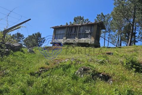 Helårsgrund i Cinfaes, Viseu, Cinfaes - € 67.500 | Ref: 1104081 - foto 11