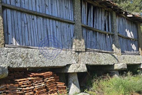 Helårsgrund i Cinfaes, Viseu, Cinfaes - € 67.500 | Ref: 1104081 - foto 12