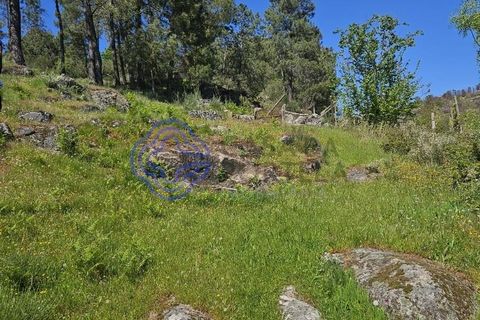 Helårsgrund i Cinfaes, Viseu, Cinfaes - € 67.500 | Ref: 1104081 - foto 14