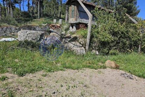 Helårsgrund i Cinfaes, Viseu, Cinfaes - € 67.500 | Ref: 1104081 - foto 15