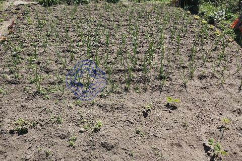 Helårsgrund i Cinfaes, Viseu, Cinfaes - € 67.500 | Ref: 1104081 - foto 16