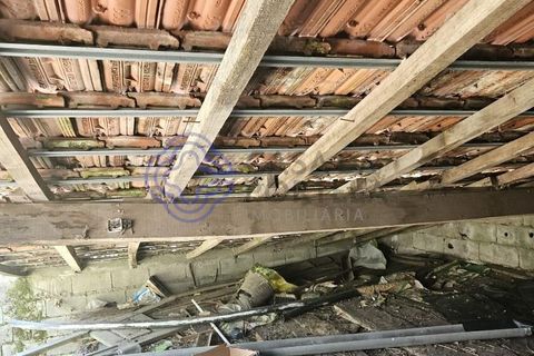 Helårsgrund i Cinfaes, Viseu, Cinfaes - € 67.500 | Ref: 1104081 - foto 17