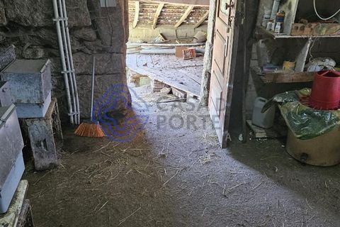 Helårsgrund i Cinfaes, Viseu, Cinfaes - € 67.500 | Ref: 1104081 - foto 18