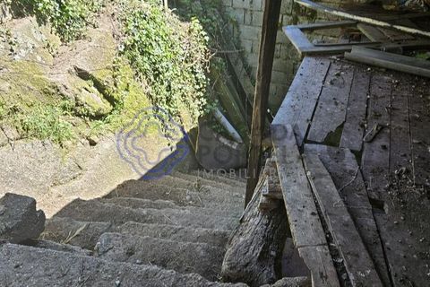 Helårsgrund i Cinfaes, Viseu, Cinfaes - € 67.500 | Ref: 1104081 - foto 20