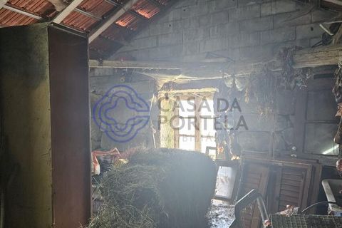 Helårsgrund i Cinfaes, Viseu, Cinfaes - € 67.500 | Ref: 1104081 - foto 21