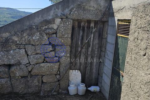 Helårsgrund i Cinfaes, Viseu, Cinfaes - € 67.500 | Ref: 1104081 - foto 22
