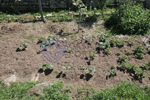 Helårsgrund i Cinfaes, Viseu, Cinfaes - € 67.500 | Ref: 1104081 - foto 23