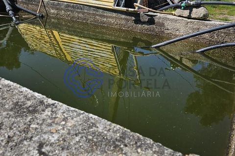 Helårsgrund i Cinfaes, Viseu, Cinfaes - € 67.500 | Ref: 1104081 - foto 24