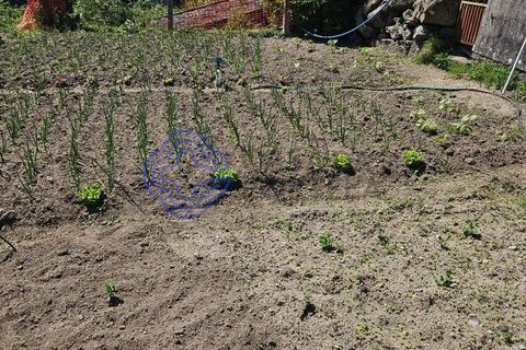 Helårsgrund i Cinfaes, Viseu, Cinfaes - € 67.500 | Ref: 1104081 - foto 25