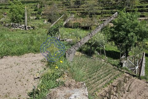 Helårsgrund i Cinfaes, Viseu, Cinfaes - € 67.500 | Ref: 1104081 - foto 26