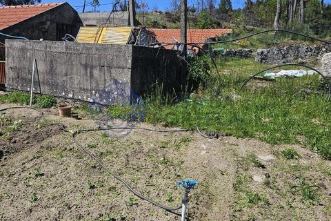 Helårsgrund i Cinfaes, Viseu, Cinfaes - € 67.500 | Ref: 1104081 - foto 27