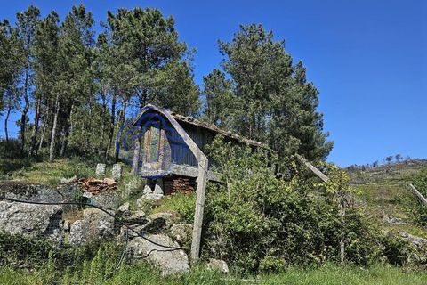 Helårsgrund i Cinfaes, Viseu, Cinfaes - € 67.500 | Ref: 1104081 - foto 28