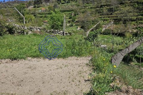 Helårsgrund i Cinfaes, Viseu, Cinfaes - € 67.500 | Ref: 1104081 - foto 29
