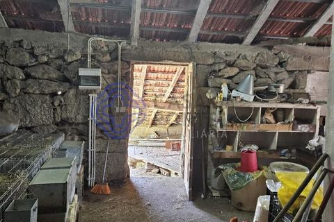 Helårsgrund i Cinfaes, Viseu, Cinfaes - € 67.500 | Ref: 1104081 - foto 32