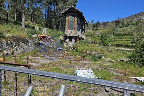 Helårsgrund i Cinfaes, Viseu, Cinfaes - € 67.500 | Ref: 1104081 - foto 34