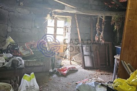 Helårsgrund i Cinfaes, Viseu, Cinfaes - € 67.500 | Ref: 1104081 - foto 37