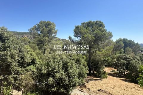 Villa i Roquebrune-sur-Argens, Var, Roquebrune-sur-Argens - € 715.000 | Ref: 7175 - foto 30