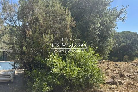 Villa i Roquebrune-sur-Argens, Var, Roquebrune-sur-Argens - € 715.000 | Ref: 7175 - foto 31