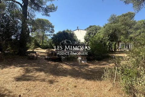 Villa i Roquebrune-sur-Argens, Var, Roquebrune-sur-Argens - € 715.000 | Ref: 7175 - foto 26