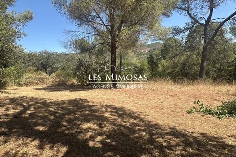 Villa i Roquebrune-sur-Argens, Var, Roquebrune-sur-Argens - € 715.000 | Ref: 7175 - foto 33