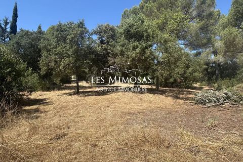 Villa i Roquebrune-sur-Argens, Var, Roquebrune-sur-Argens - € 715.000 | Ref: 7175 - foto 34