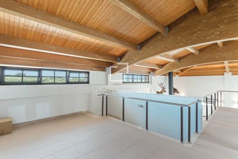 Masia a Lezuza, Albacete, Lezuza - € 4.200.000 | Ref: ALI60280 - foto 48