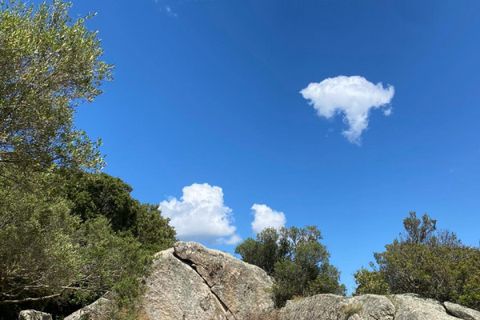 Villa a Telti, Olbia Tempio, Telti - € 418.000 | Ref: 491 - foto 29