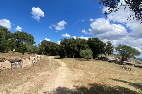 Villa a Telti, Olbia Tempio, Telti - € 418.000 | Ref: 491 - foto 30