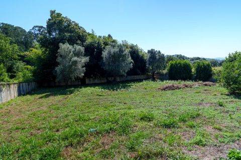 Villa i Ponte de Lima, Viana do Castelo, Ponte de Lima - € 900.000 | Ref: TC30 - foto 24
