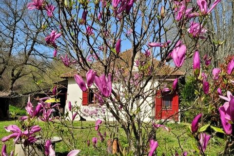 Villa i Labastide-d'Armagnac, Landes, Labastide-d'Armagnac - € 143.000 | Ref: 340936519016 - foto 3