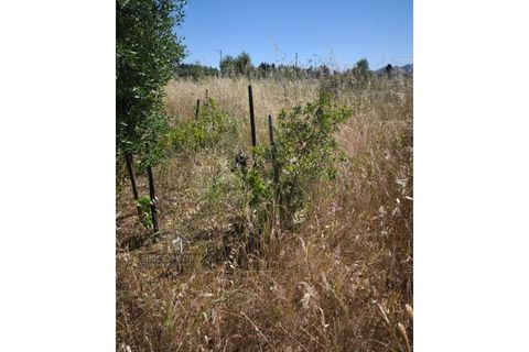 Helårsgrund i Palmela, Setubal, Palmela - € 60.000 | Ref: MC2025547 - foto 2