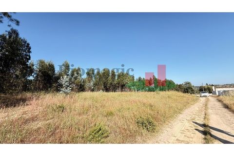 Helårsgrund i Asseiceira, Santarem, Asseiceira - € 27.000 | Ref: 167.25 - foto 5