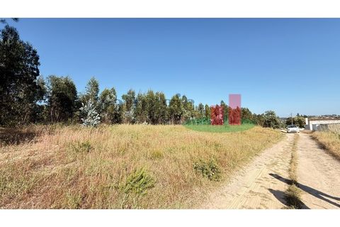Helårsgrund i Asseiceira, Santarem, Asseiceira - € 27.000 | Ref: 167.25 - foto 6